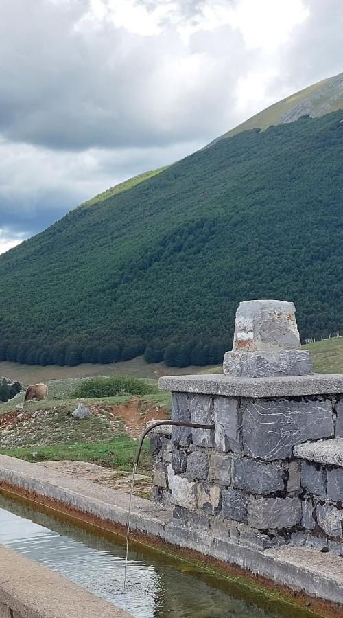 La Quercia Sul Lao Bed&Breakfast Cannecelle Экстерьер фото